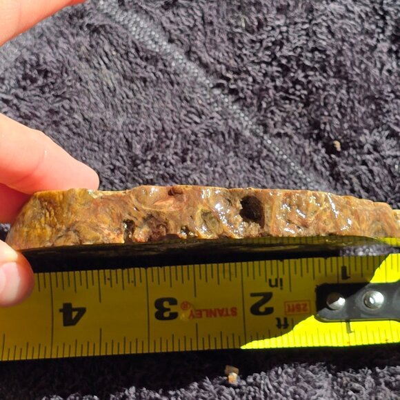 Small cutting of Orbicular Rhyolite - Picture 3 of 10